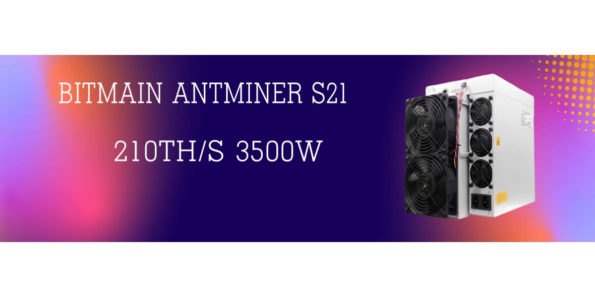 Main Banner2