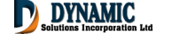 DYNAMIC SOLUTIONS INCORPORATION LTD DYNAMIC SOLUTIONS INCORPORATION LTD